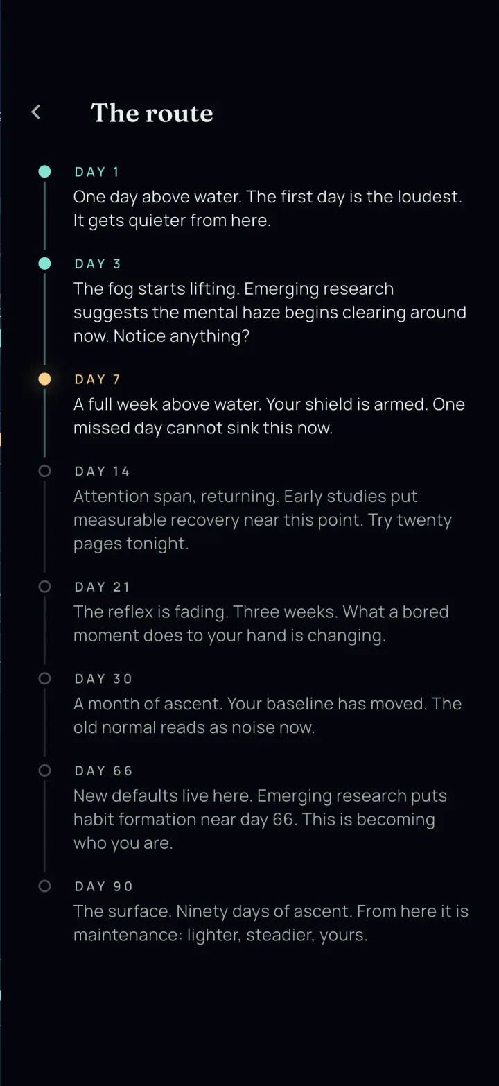 Resurface milestone route: day 1 through day 90, from one day above water to the surface